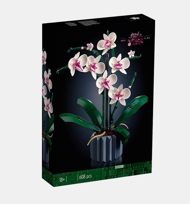 Orchid Building Block Botanical Set