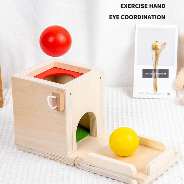Wooden 4-in-1 Montessori Learning Box