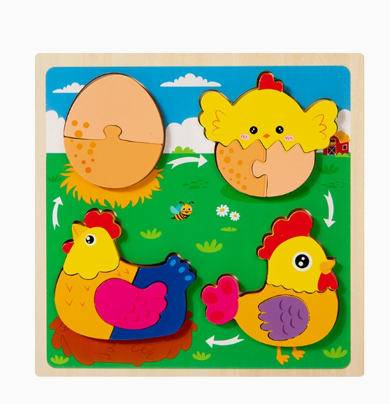 Growth Cycle Wooden Puzzles for Kids