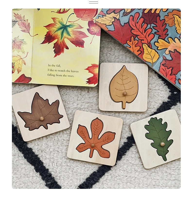 Wooden Leaf Cognition Puzzle Set
