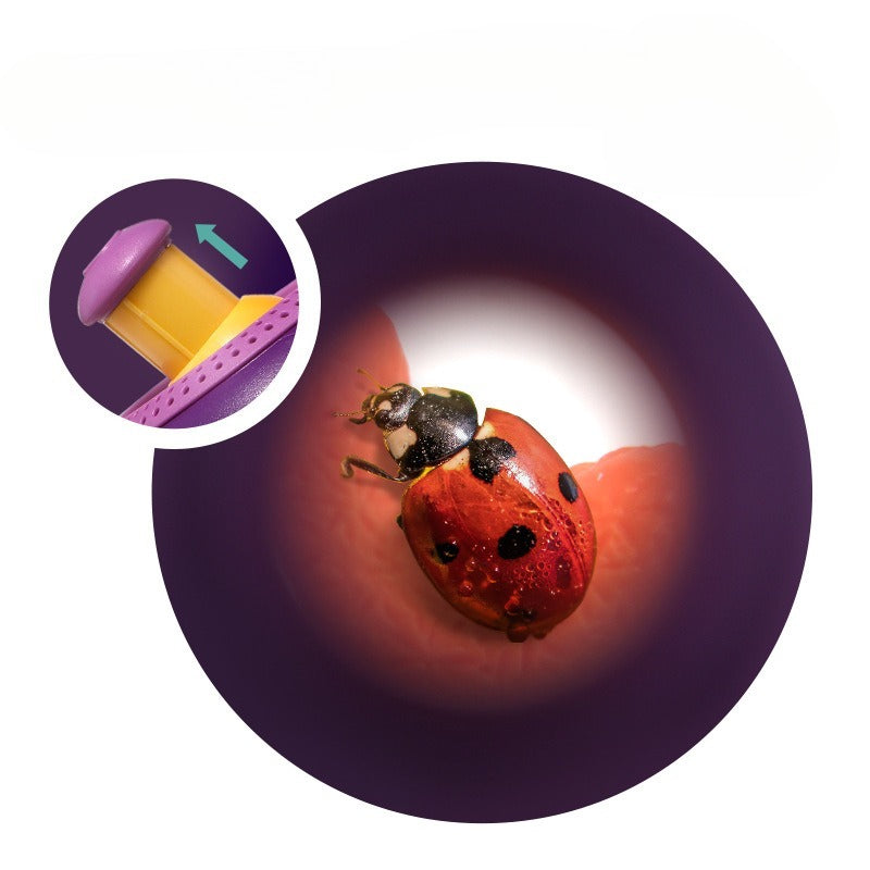 Little Explorer 360° Nature & Bug Habitat