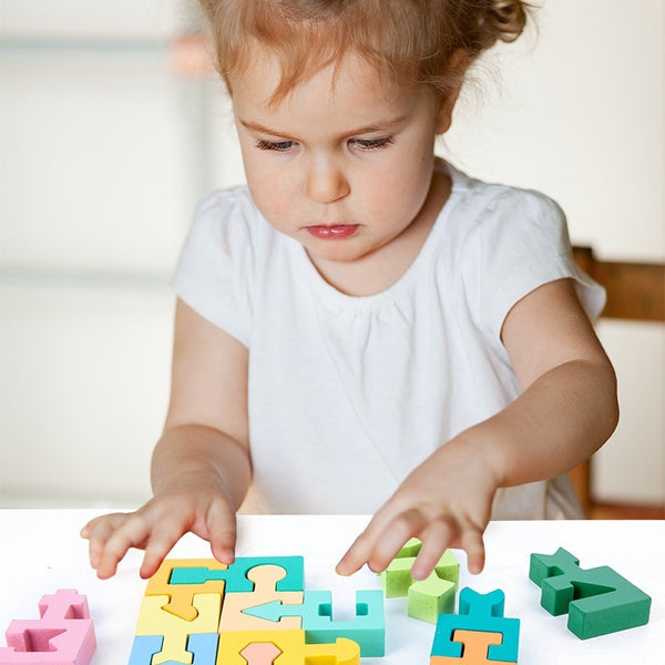 Geometric Shape Puzzle Blocks