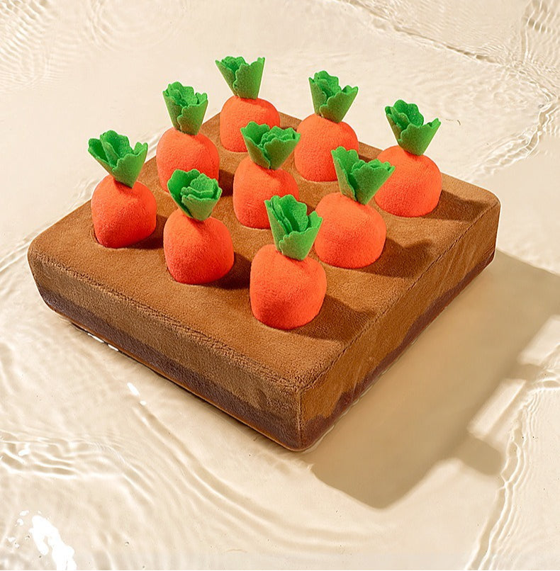 Plush Carrot Harvest Activity Toy