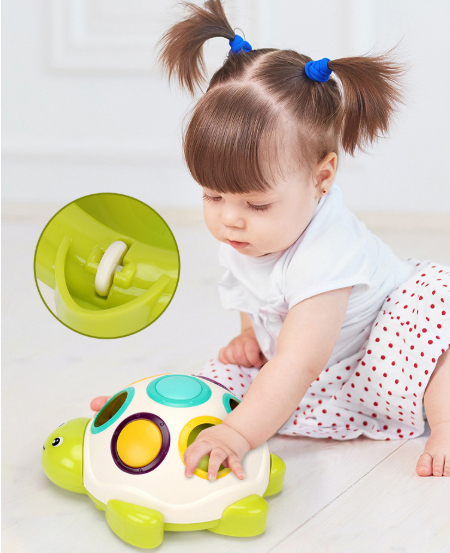 Sliding Turtle Sensory Activity Toy
