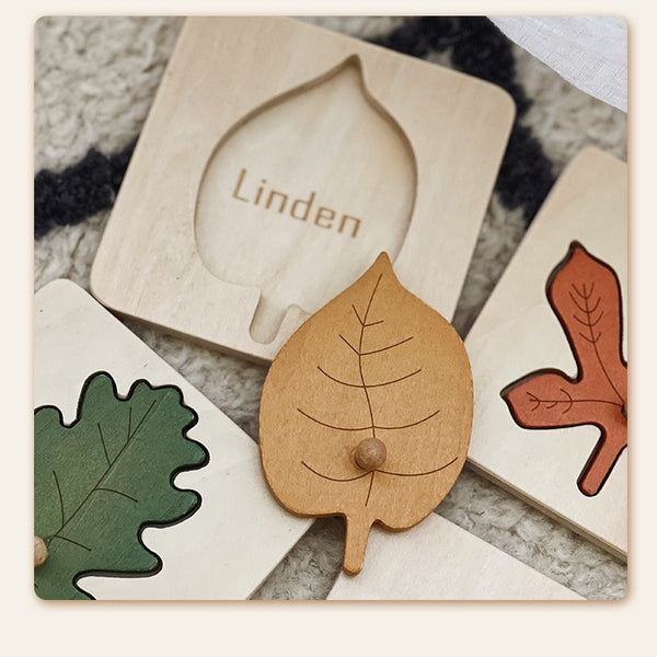 Wooden Leaf Cognition Puzzle Set