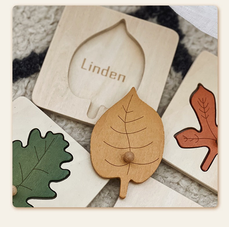 Wooden Leaf Cognition Puzzle Set