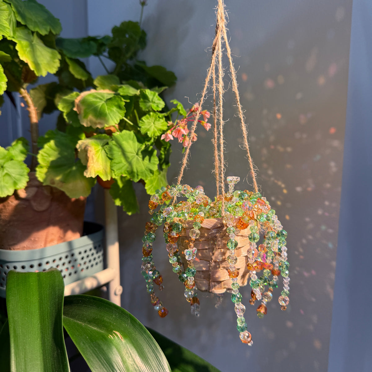 Sea Citrus Beaded Hanging Plant