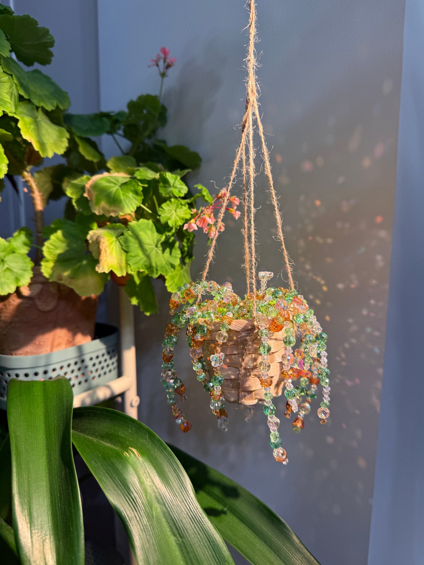 Sea Citrus Beaded Hanging Plant