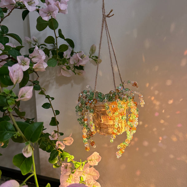 Sea Citrus Beaded Hanging Plant