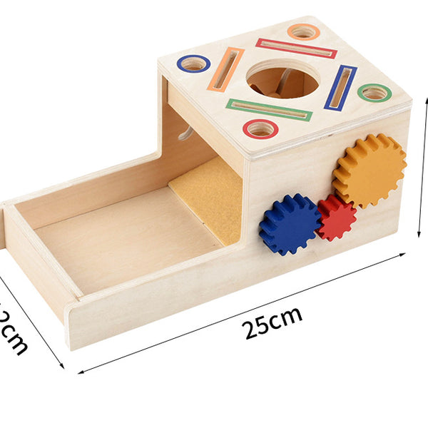 Wooden Montessori Coin & Peg Sorting Box with Spinning Gears