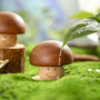 Handcrafted Wooden Mushroom Music Box