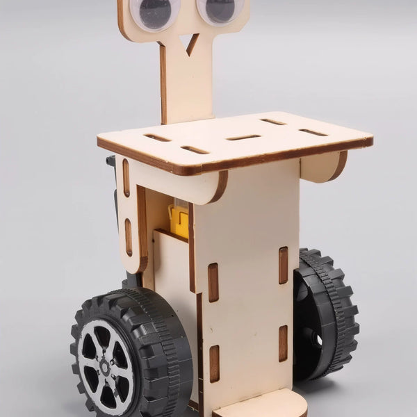 DIY Mechanical Science Model Kit