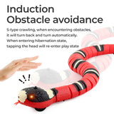 Slither & Slide Smart Sensing Toy Snake Fantastik Curios