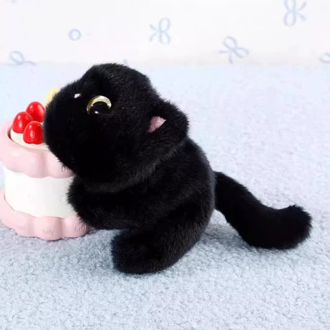 Black plush toy resembling a cat with a pink cake on a light gray background