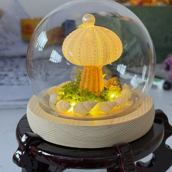 "Under the Sea" Mushroom Night Light – Handcrafted Ocean Shell Dome