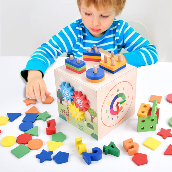 6-in-1 Montessori Wooden Activity Cube & Shape Sorter