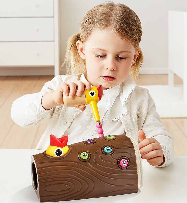 The Hungry Woodpecker: Magnetic Feeding & Sorting Game