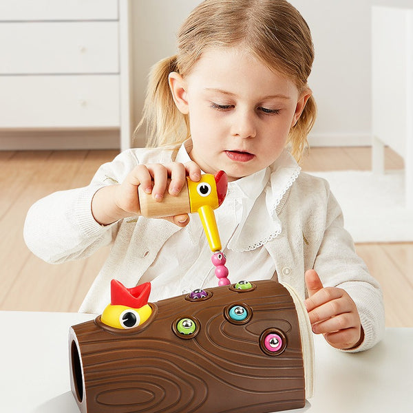 The Hungry Woodpecker: Magnetic Feeding & Sorting Game