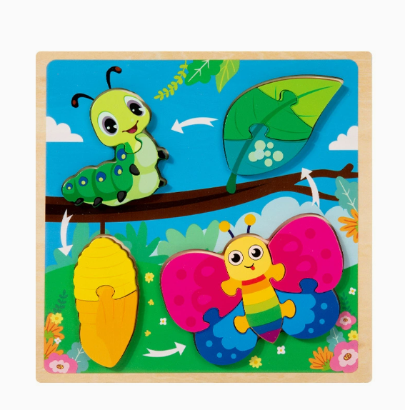 Growth Cycle Wooden Puzzles for Kids