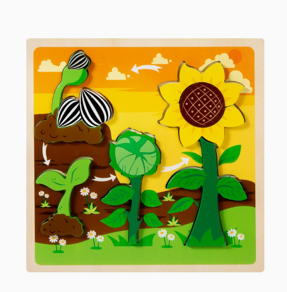 Growth Cycle Wooden Puzzles for Kids