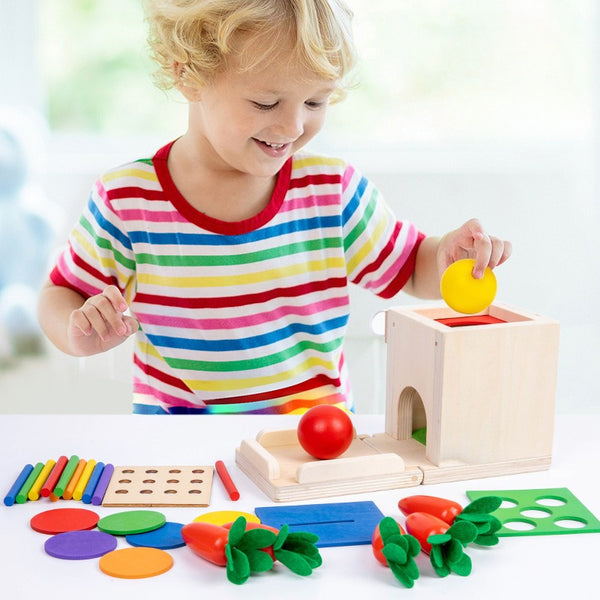 The 4-in-1 Montessori Activity Box | Interchangeable Wooden Toy