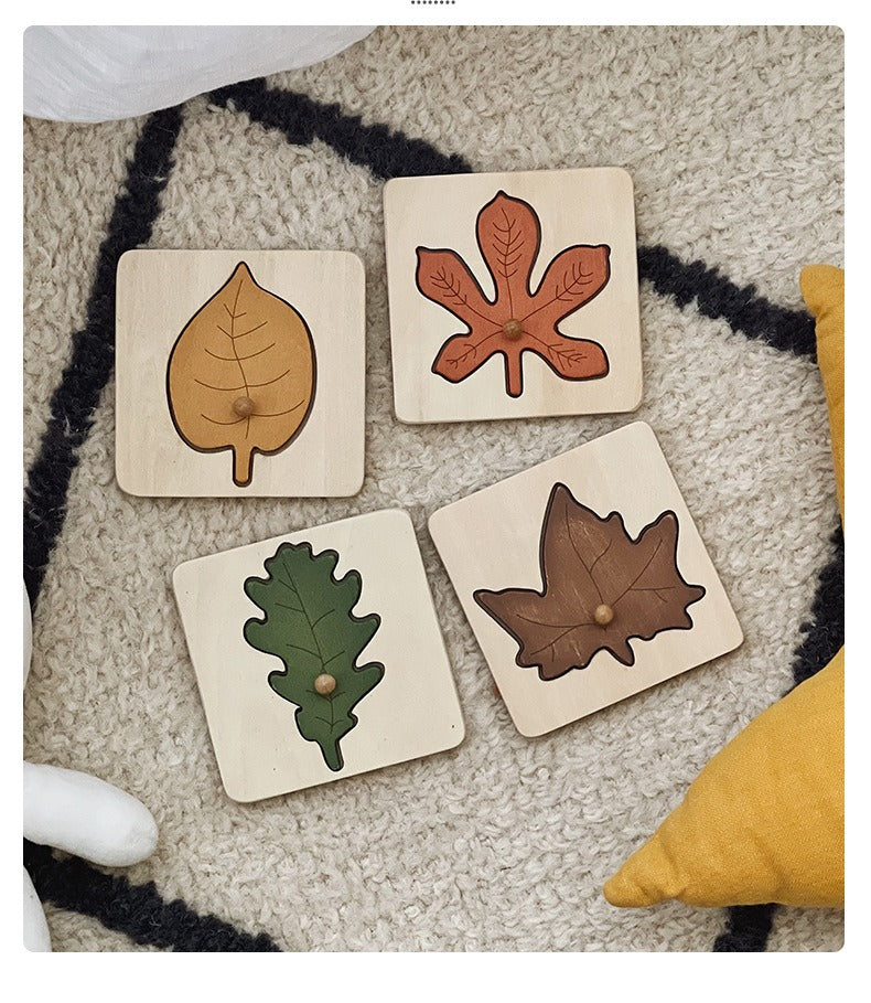 Wooden Leaf Cognition Puzzle Set
