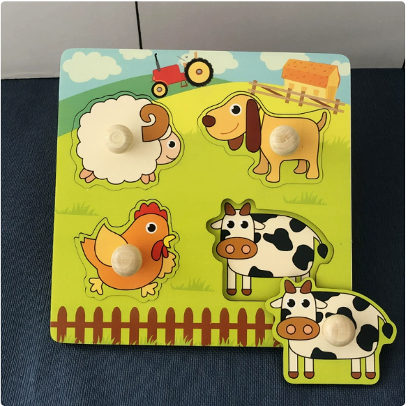 Wooden Peg Puzzle for Early Learning