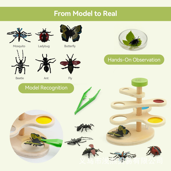 Wooden Insect Observation and Color Filter Set for Kids