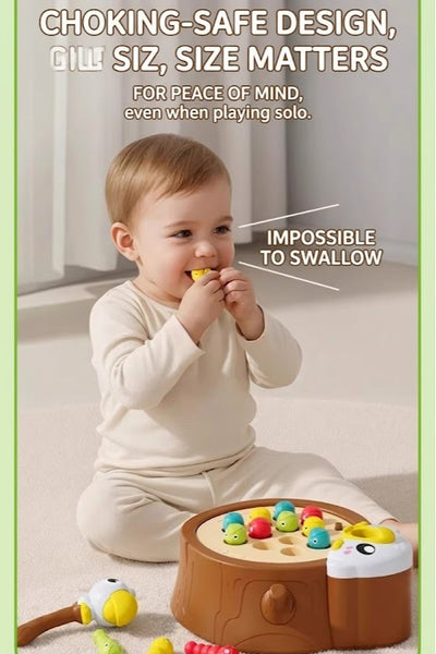 Woodpecker Magnetic Catching Worms Toy with Sound