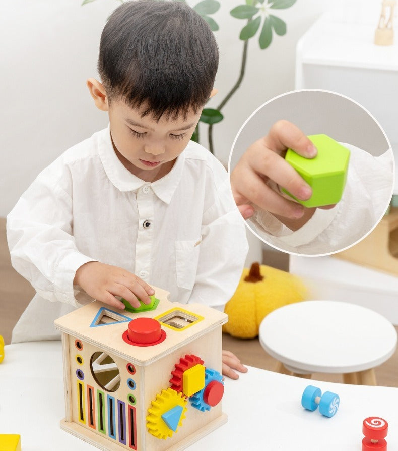 Wooden 8-in-1 Montessori Learning Activity Cube