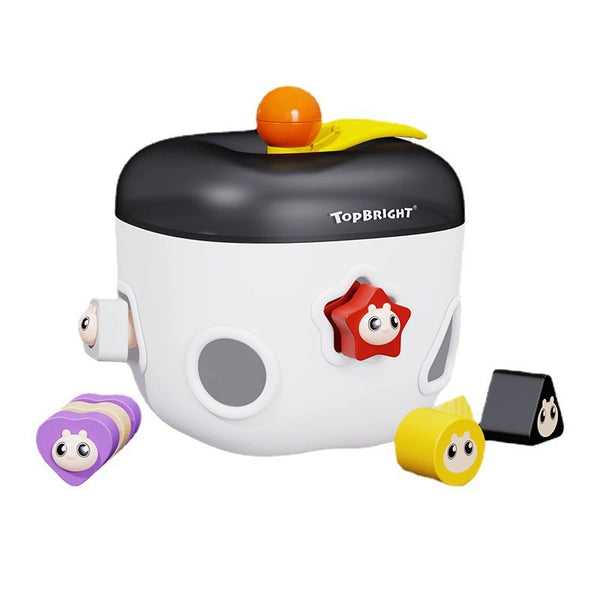 TOPBRIGHT Apple Shape Sorter