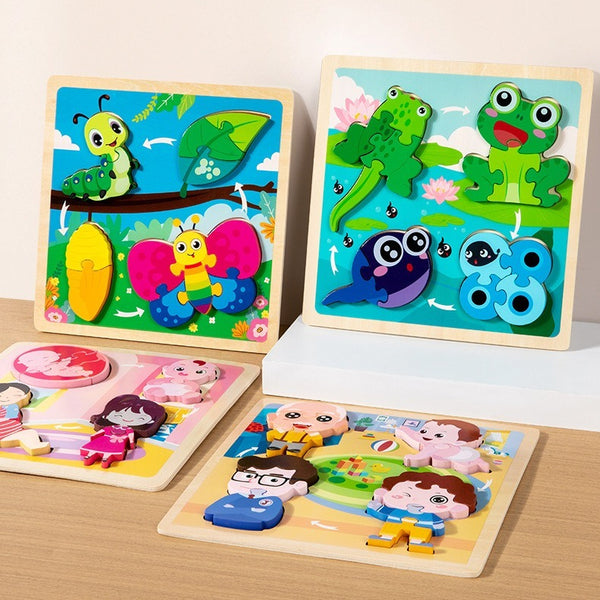 Growth Cycle Wooden Puzzles for Kids