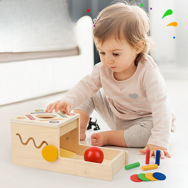 Wooden Montessori Coin & Peg Sorting Box with Spinning Gears