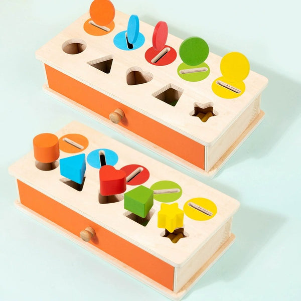 Wooden Montessori 10-Hole Shape and Color Sorting Box