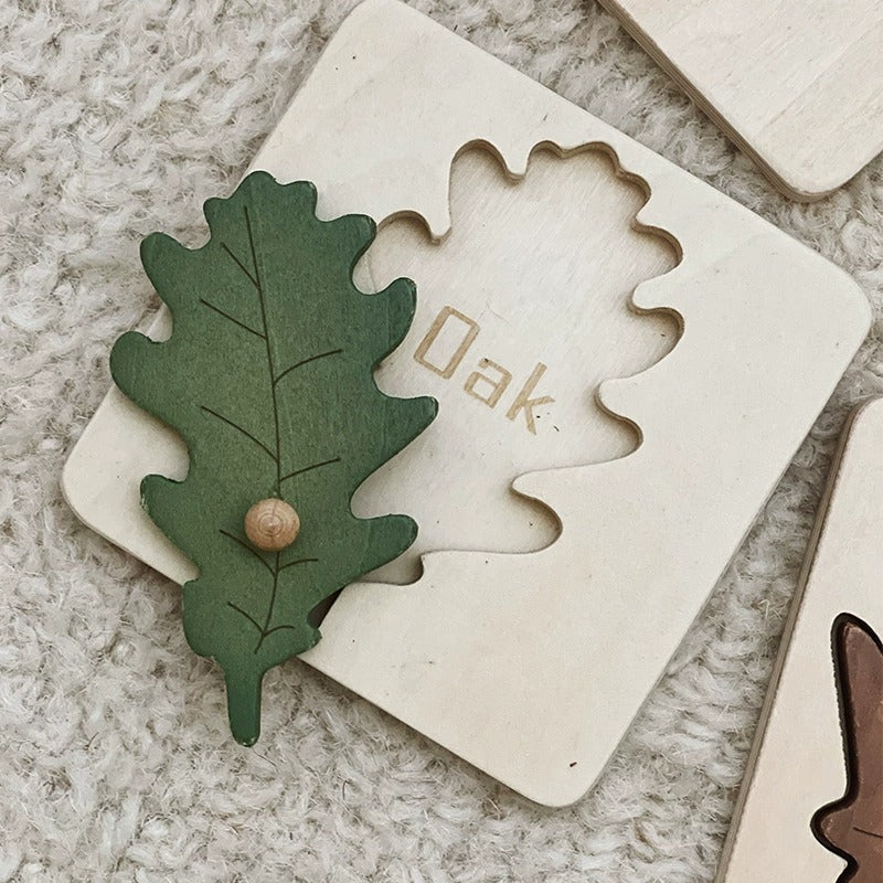 Wooden Leaf Cognition Puzzle Set