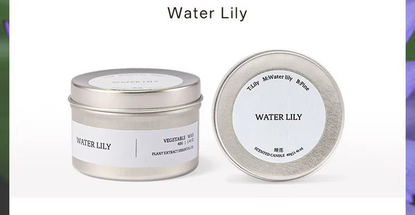 Travel Scented Tin Candle