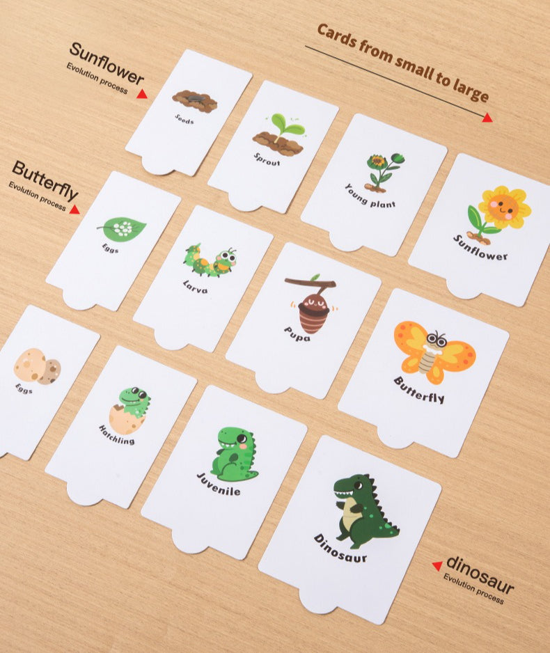 Nature’s Lifecycle Wooden Matching Puzzle & Discovery Kit