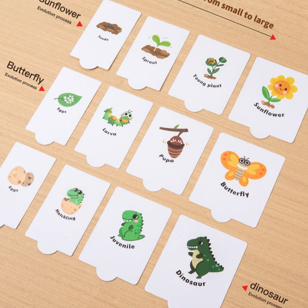 Nature’s Lifecycle Wooden Matching Puzzle & Discovery Kit