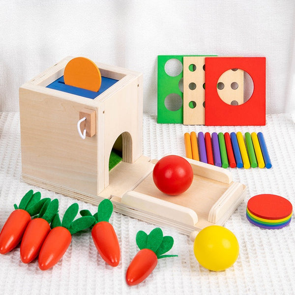 The 4-in-1 Montessori Activity Box | Interchangeable Wooden Toy