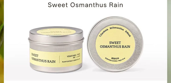 Travel Scented Tin Candle