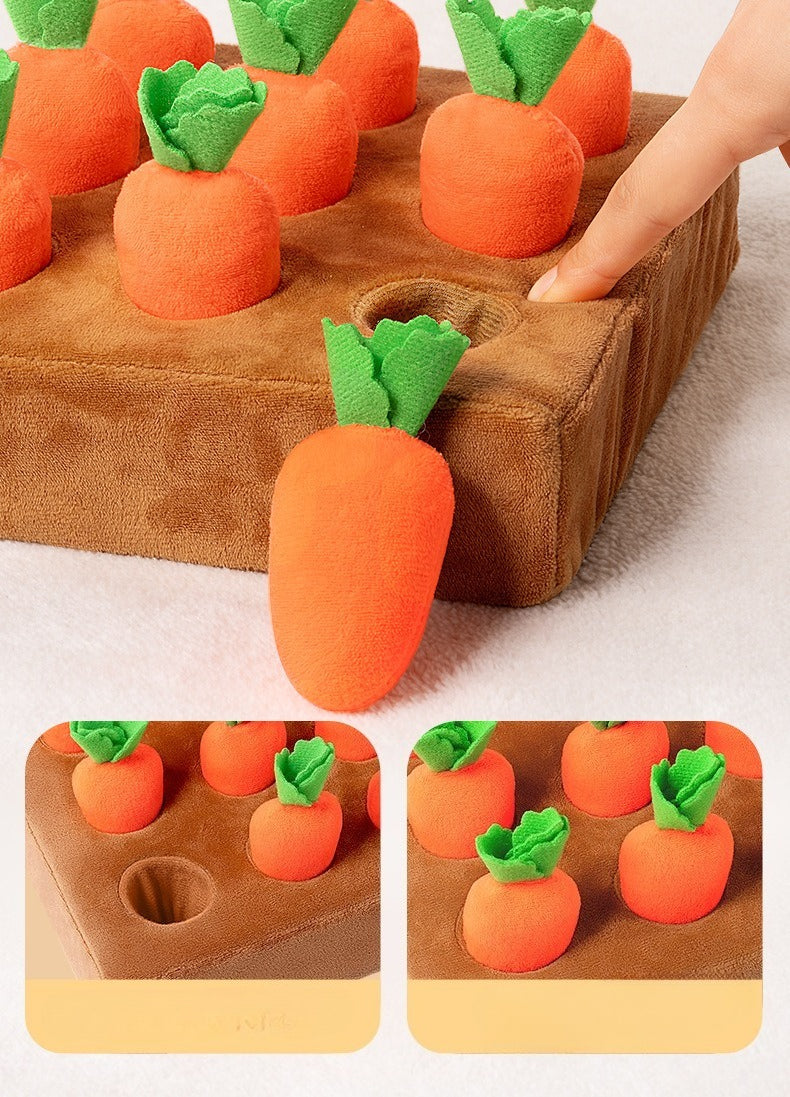 Plush Carrot Harvest Activity Toy