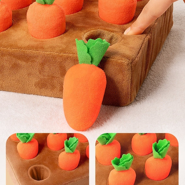 Plush Carrot Harvest Activity Toy