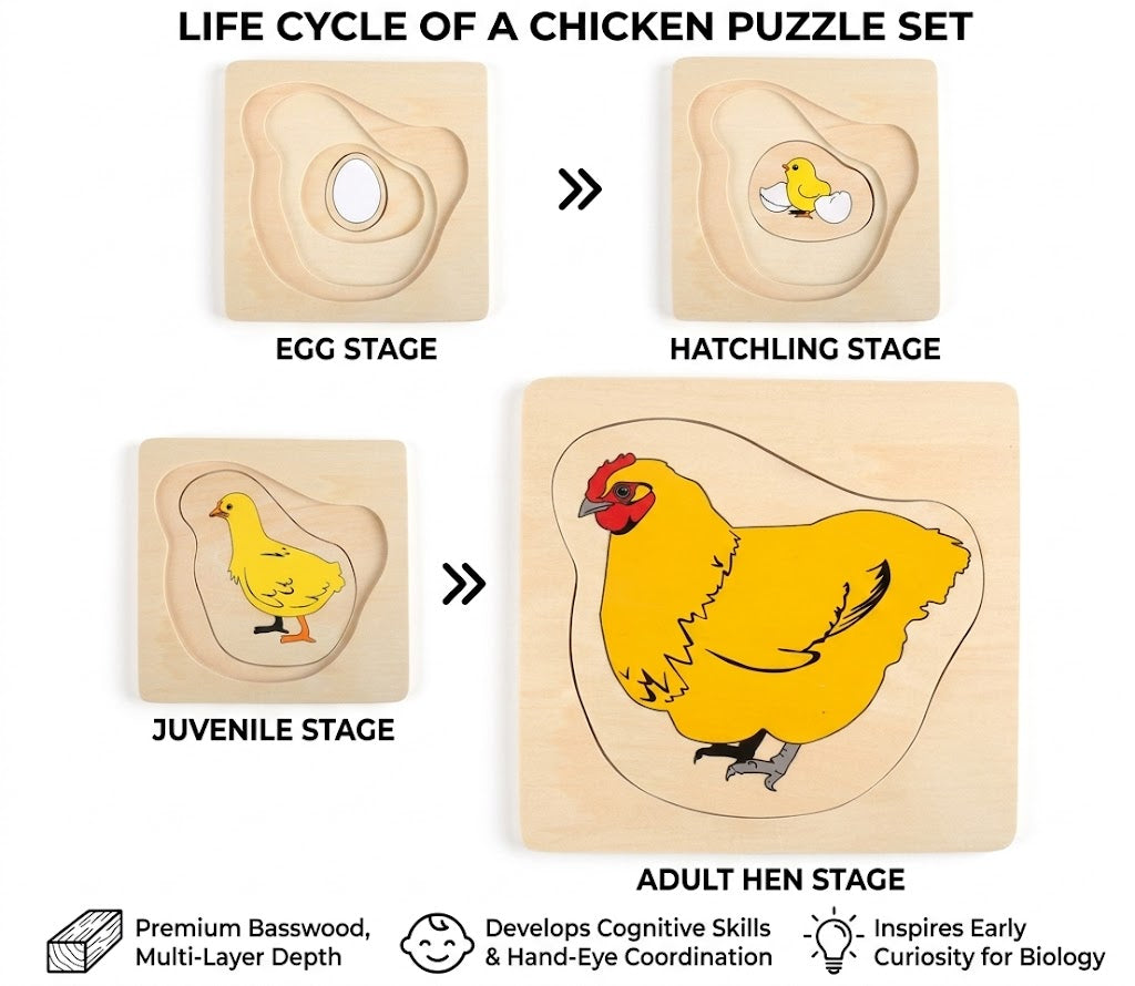 Montessori Growth Process Layered Wooden Puzzle for Kids