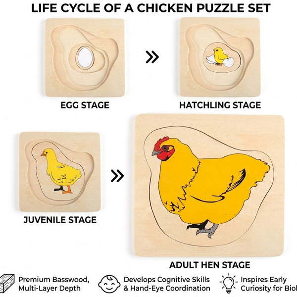 Montessori Growth Process Layered Wooden Puzzle for Kids