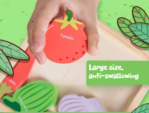 Montessori Wooden Puzzle Set for Young Children